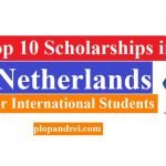 Top 10 Scholarships in Netherlands for International Students